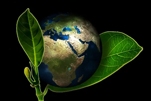 Green-Cleaning-and-Supplies--in-South-Gate-California-green-cleaning-&-supplies-south-gate-california.jpg-image